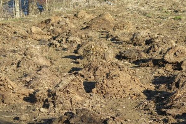 Зайти на кракен без тора