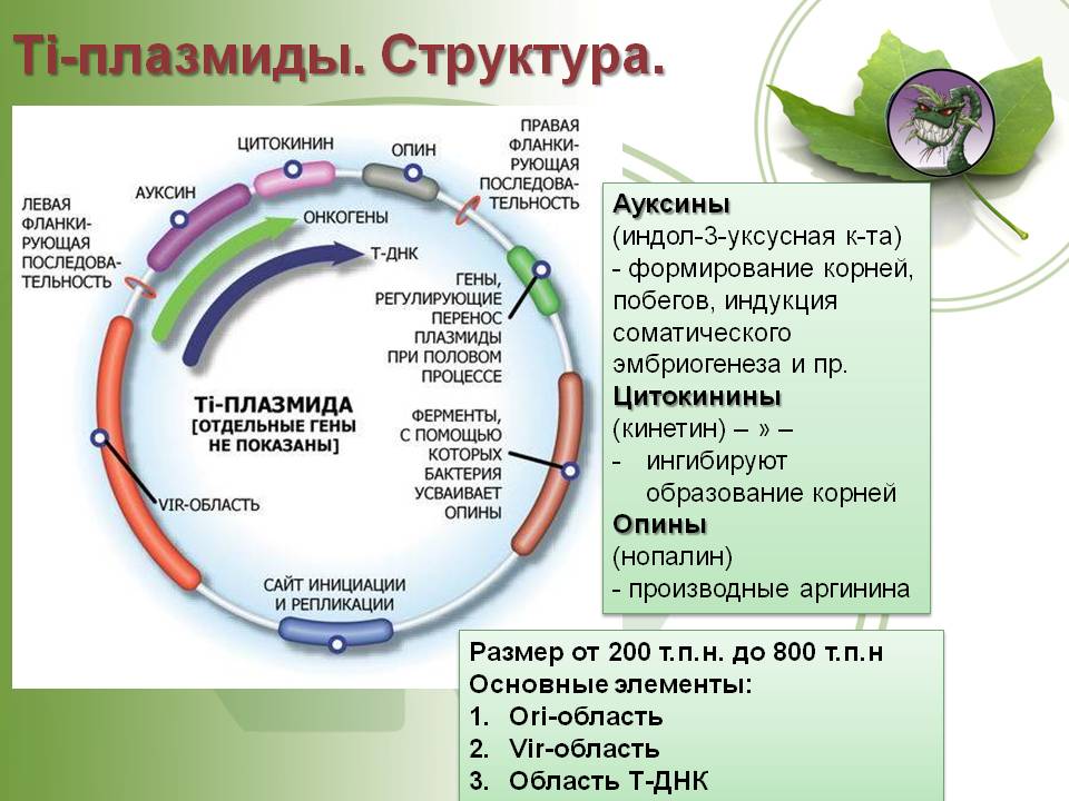 Кракен это даркнет маркетплейс