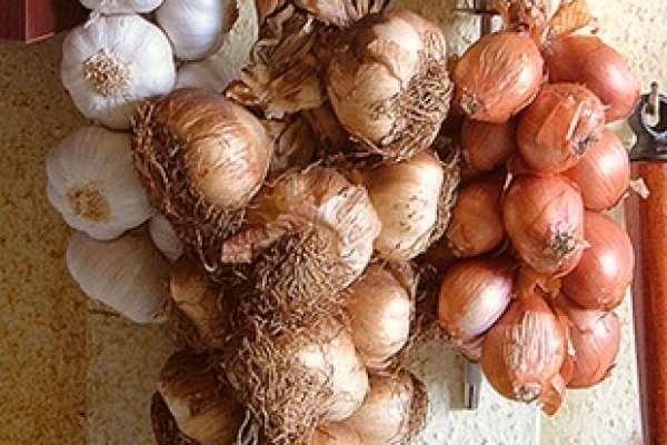 Kraken istand onion